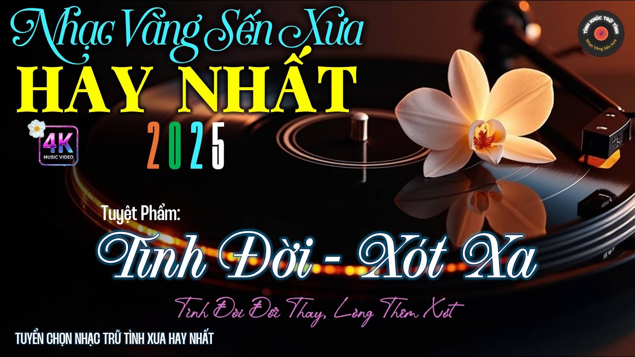 Nhạc TÌNH CA BOLERO Trữ Tình HAY NHẤT, ĐỘC LẠ 2025 - Nhạc Vàng Sến Xưa Chọn Lọc CỰC DỄ NGHE & ÊM TAI