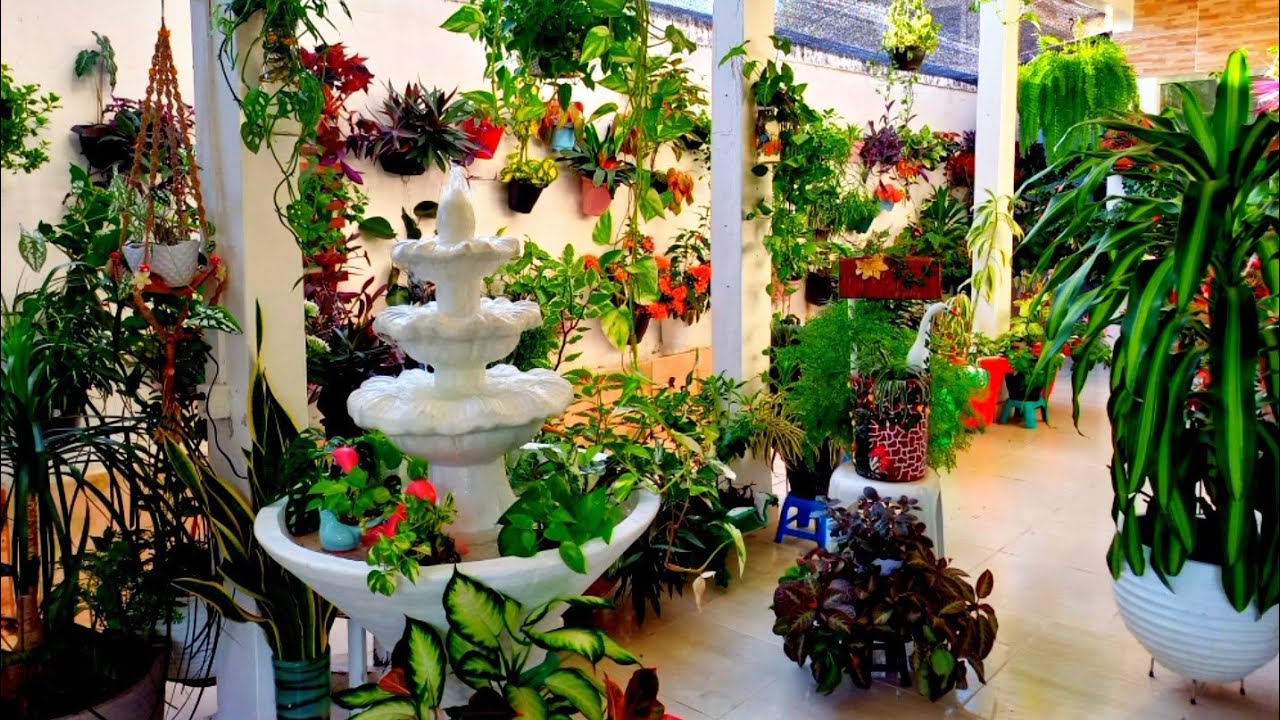 NOVAS ORGANIZAÇÕES DO JARDIM DA VARANDA FECHOU  LACROU