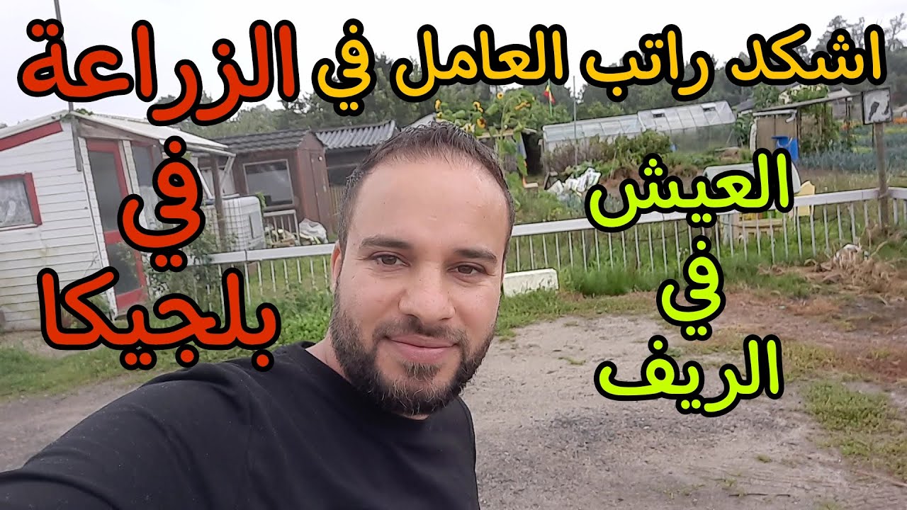 الزراعة في بلجيكا ورواتب العمل في القرية الريفية في بلجيكا 🇧🇪🌾