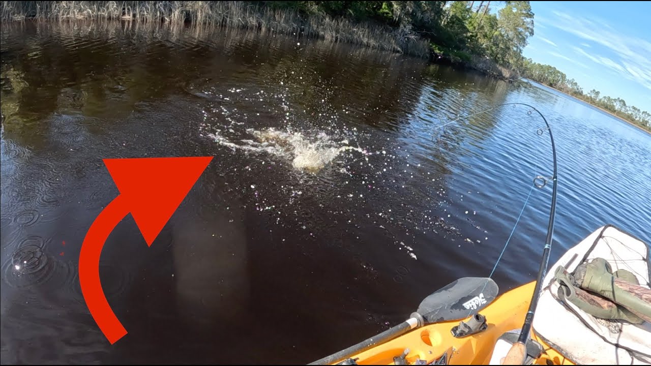 These Fish Were STACKED In This Tiny Saltwater Creek!