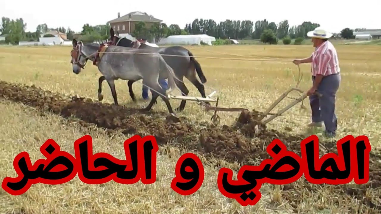الفلاحة في اسبانيا بين الماضي و الحاضر