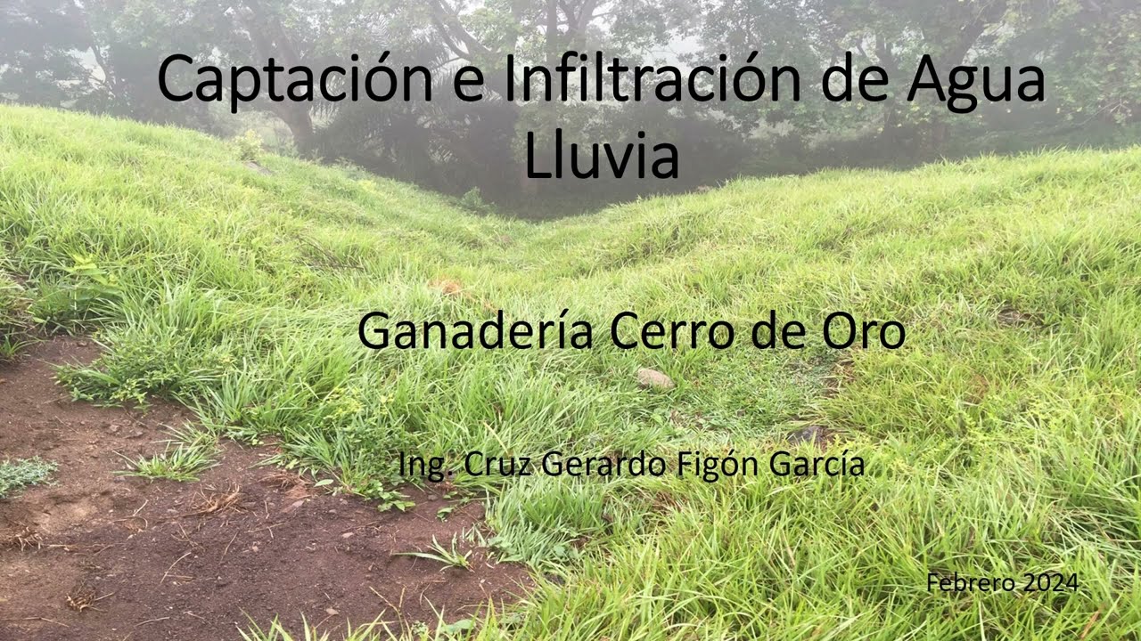 Captación e infiltración de agua lluvia