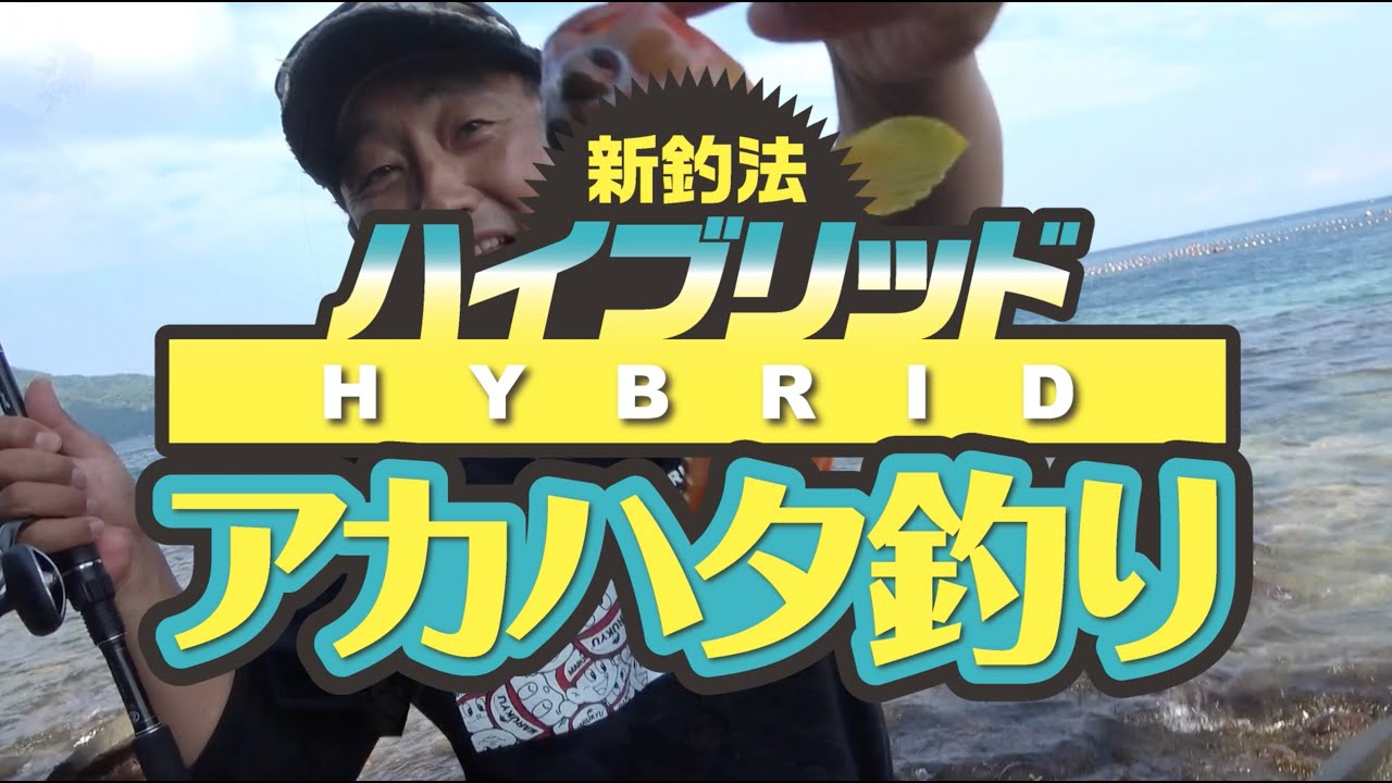 【根魚】メタルジグ＋エサ!? 爆釣アカハタ釣り in ゴロタ