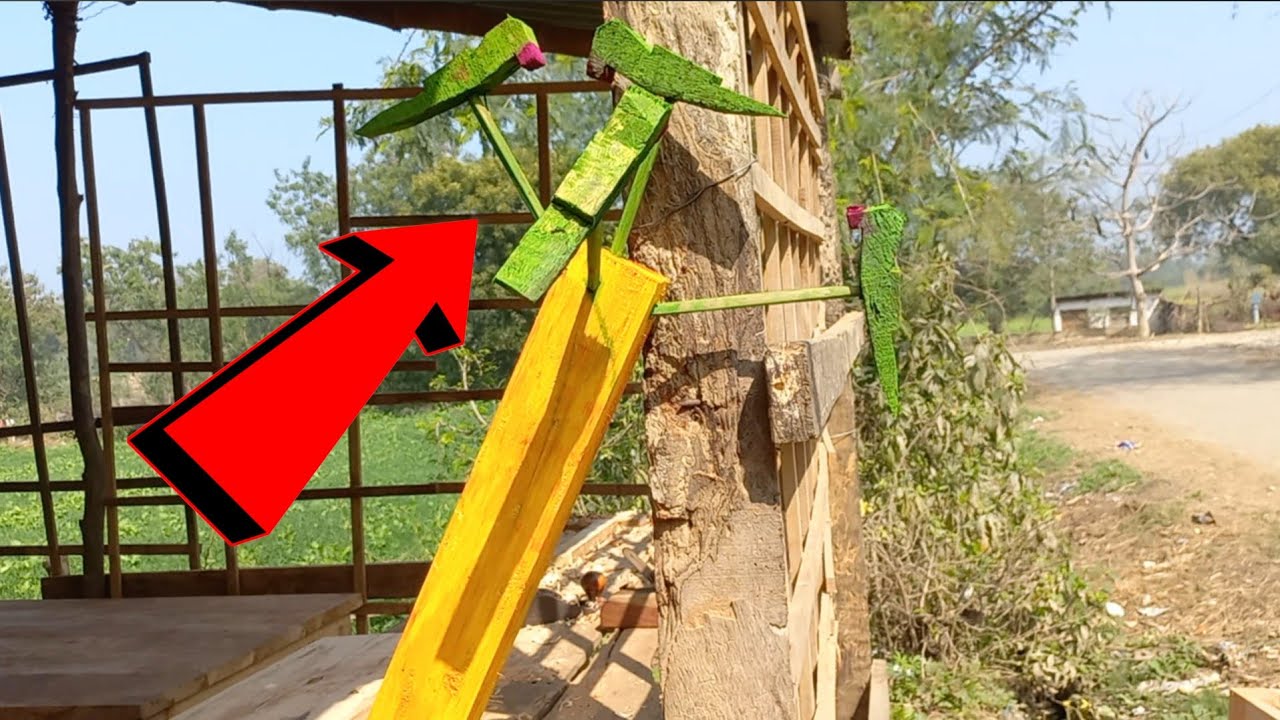 लकड़ी का तोता 🪵🦜 | WOODEN 🌳 PARROT | #vlog #dailyvlog 