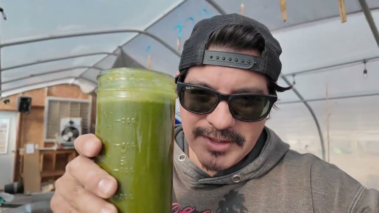 Fresh Green Drink Straight From the Garden 🌿 | Garden-to-Glass Nutrition