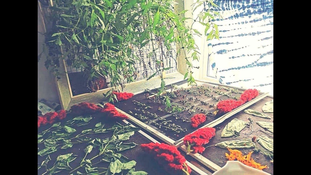 ALL ABOUT HERMIT HOLE - TRADITIONAL LIFESTYLE - NATURE -LIVING FOOD - HEALTHY LIFESTYLE