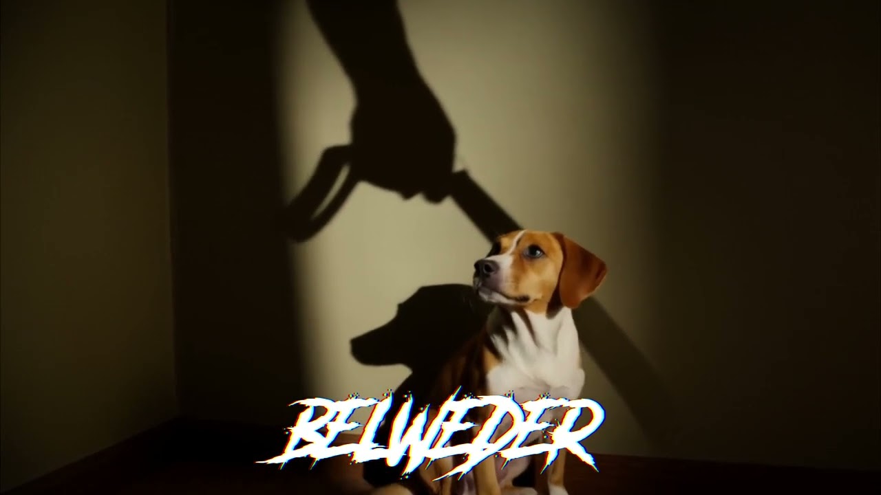 BELWEDER - KAT BEZBRONNYCH (PROD. BELWEDER RECORDS 2025)