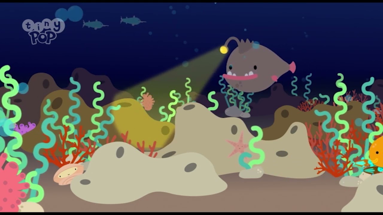 Tiny Pop's BIG Questions 🌊 How Big is the Ocean?