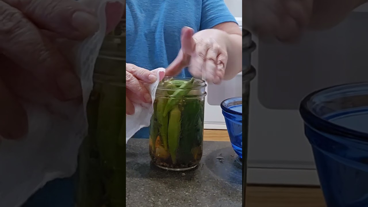 Make CRISP pickled okra at home! #waterbathcanning