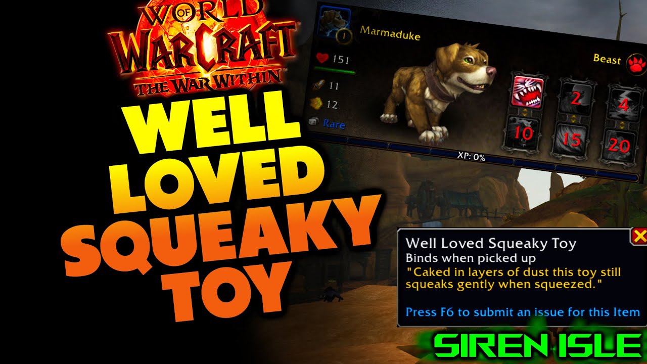 Well Loved Squeaky Toy