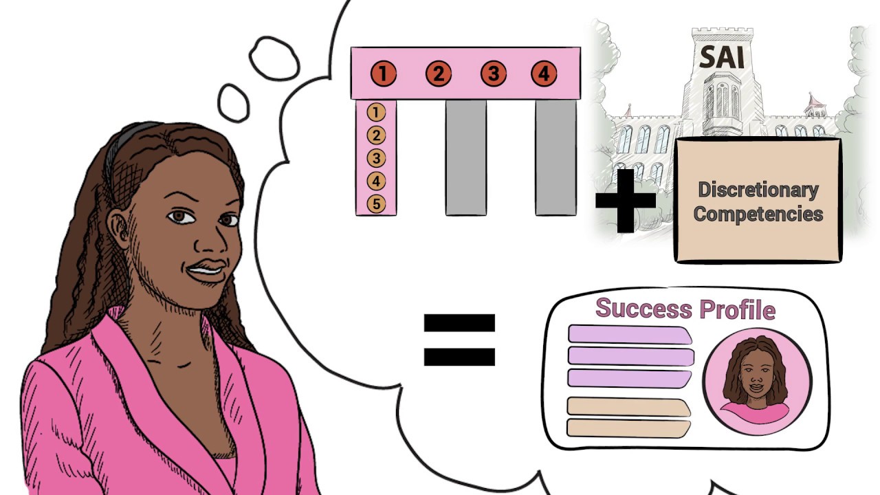 INTOSAI Auditing Framework - Doodle sketch animation