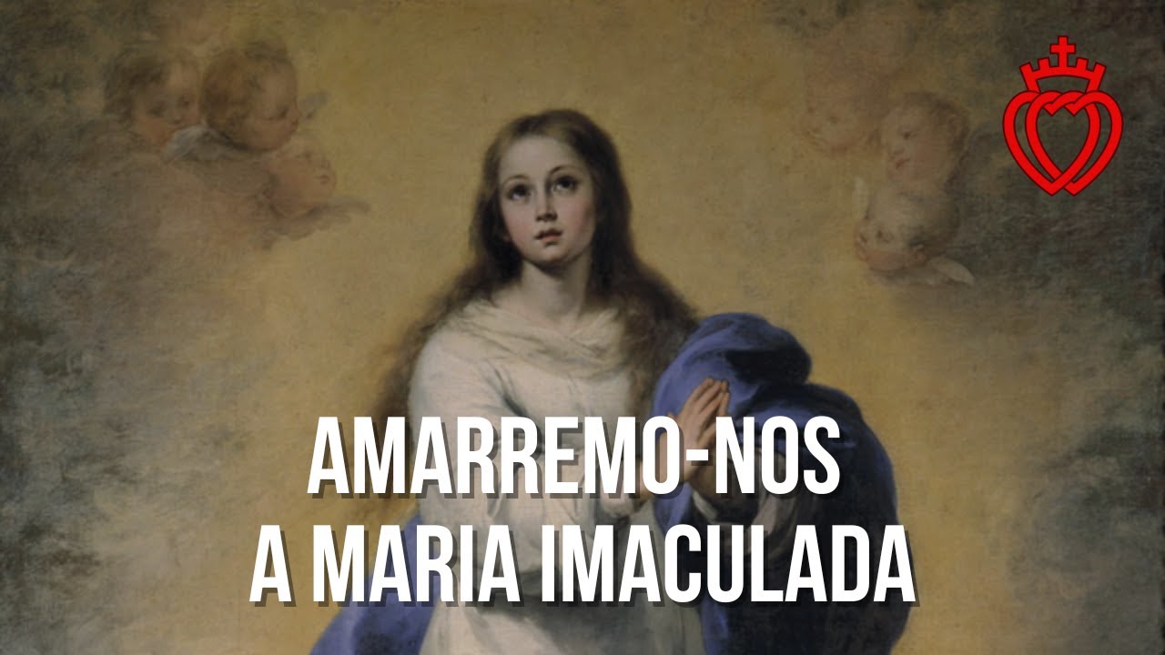 Amarremo-nos a Maria Imaculada