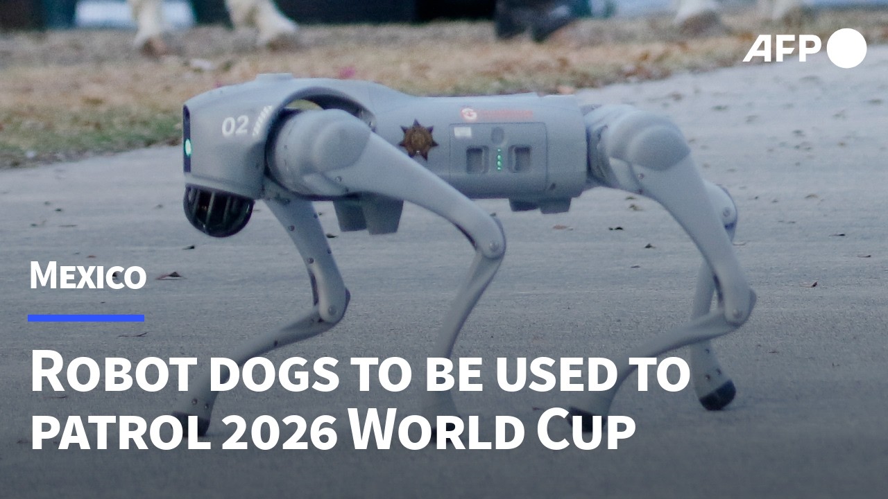 Robot dogs to help Mexican police at 2026 World Cup | AFP