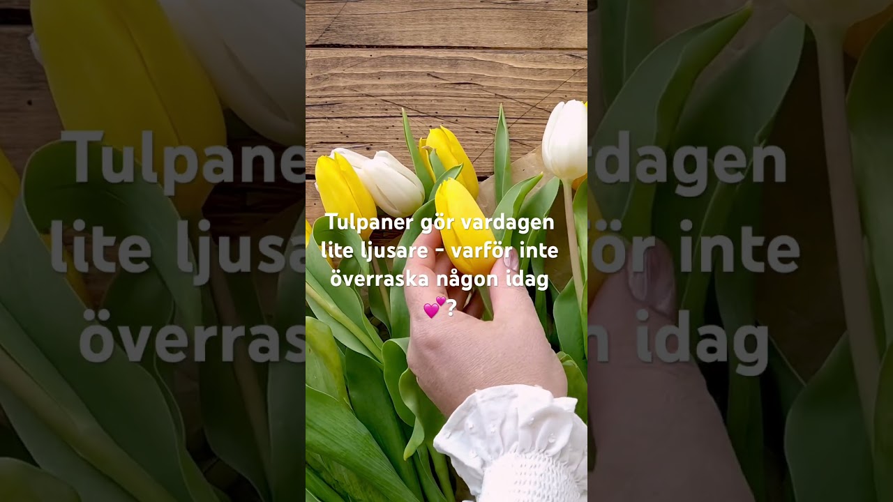 🌷 Fira tulpanens dag med en vacker bukett 🌷