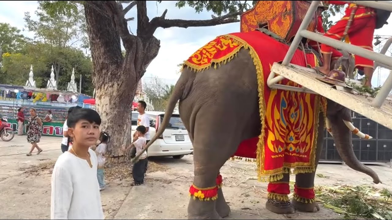 FAMILY SRITHAPTHAI กำลังถ่ายทอดสด!
