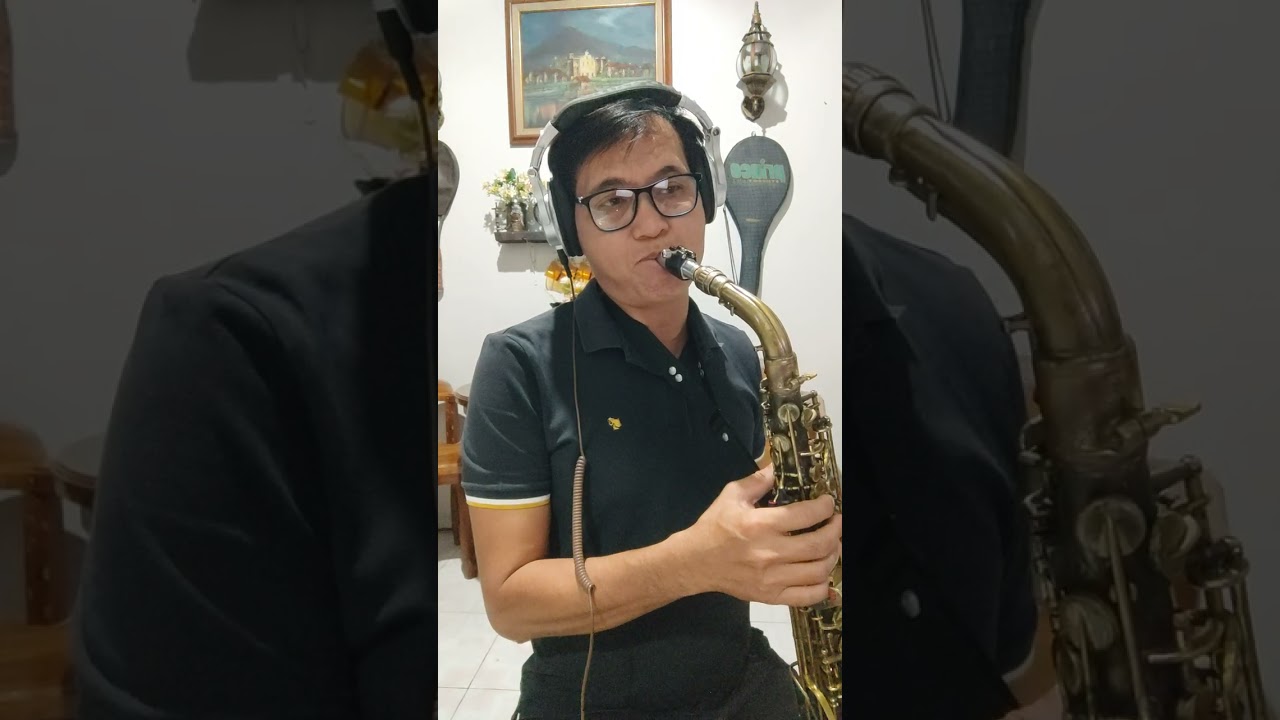 And I love you so @alto sax cover