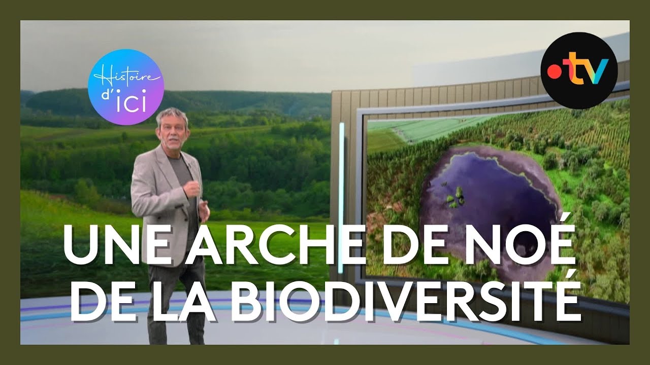 Histoire d'Ici: le Ciron