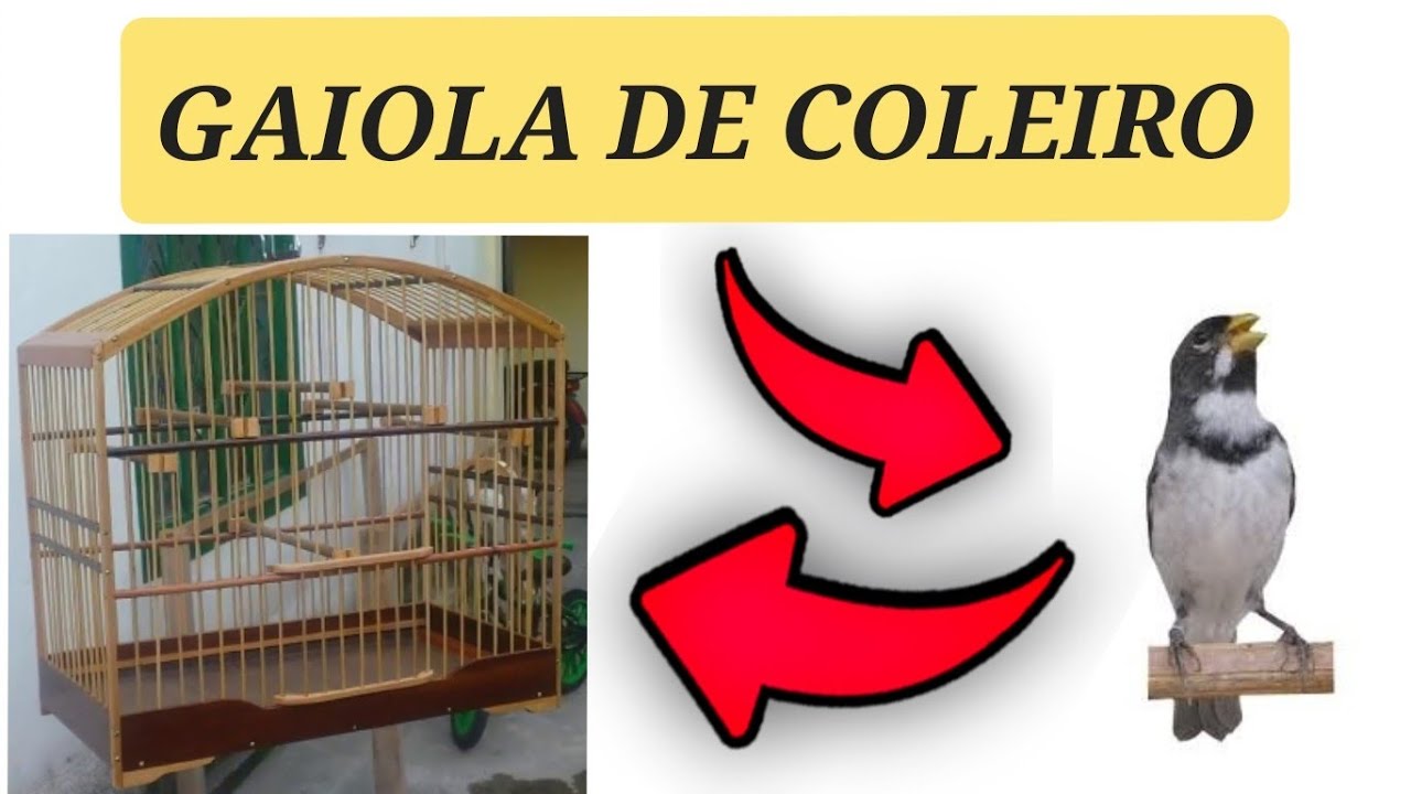COMO EU FA&Ccedil;O GAIOLA DE COLEIRO E CAPA CAPIM parte 03