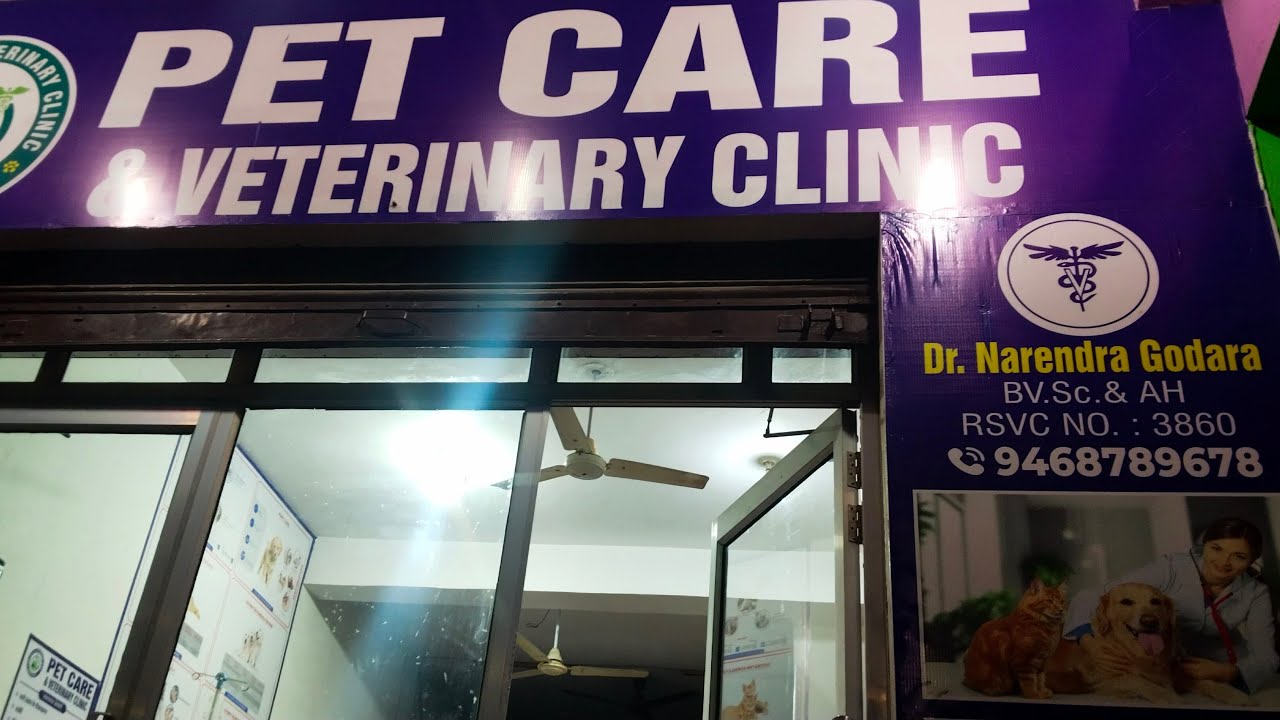 Pet Health with Saket लाइव है! 4000 hours watch time ❤️