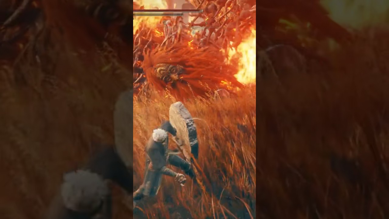 Kill the first fire giant you see in dlc for SEKIRO DELFECTS🔥 #eldenring #dlc #anime #gaming