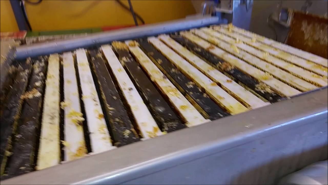 Slungning på LP's Biodling