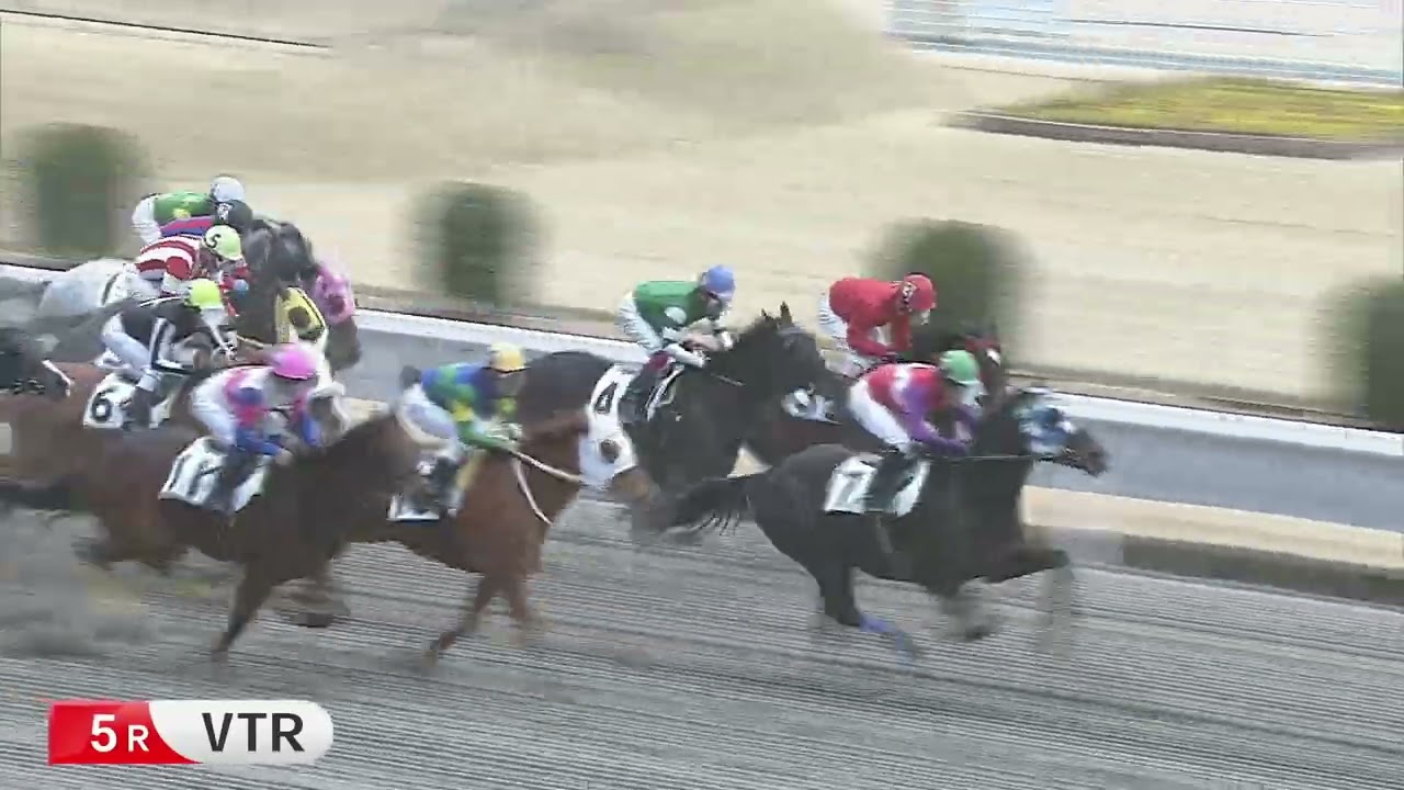 川崎競馬ダイジェスト（2025年2月4日）