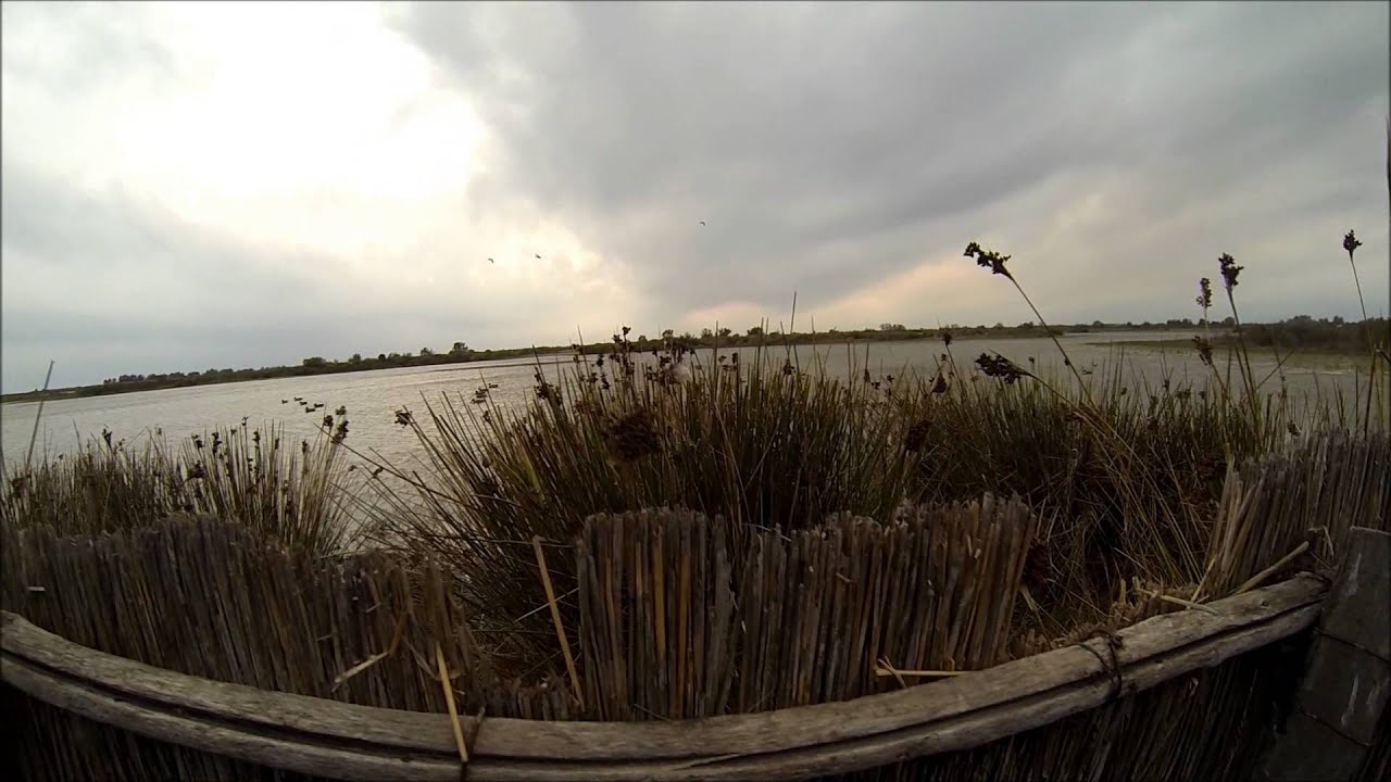 Chasse aux gibiers d'eaux en camargue GO PRO HERO3 BLACK septembre 2013 DUCK HUNTING