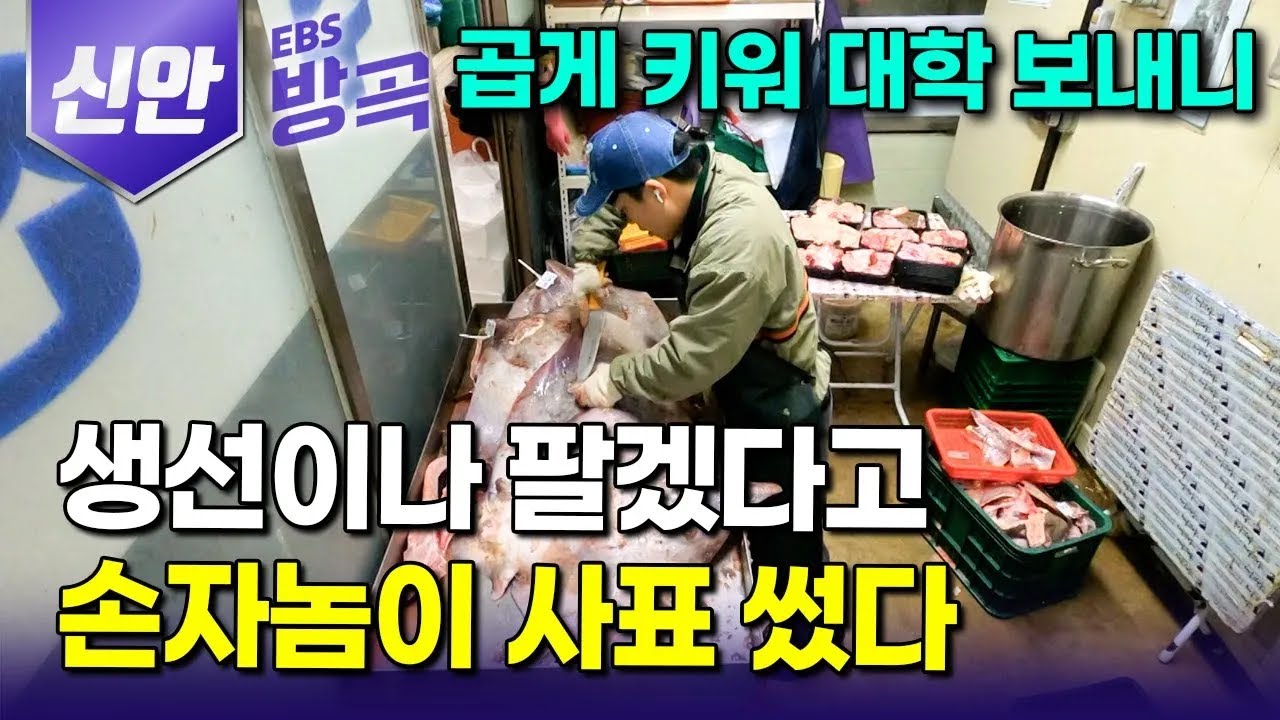 [전남 신안] 
