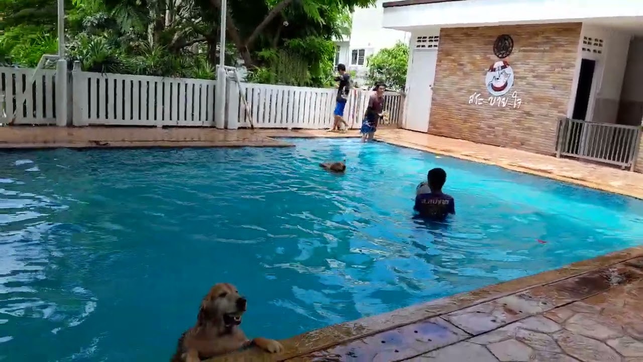 สนุก สนุก