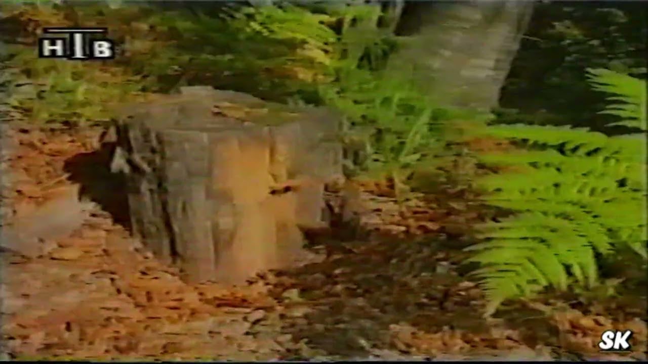 Dokumentarna Emisija Selo Rozden 1995