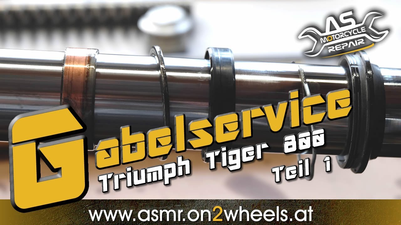➤ GABELSERVICE Gabelöl wechseln TEIL 1 | Triumph Tiger 800