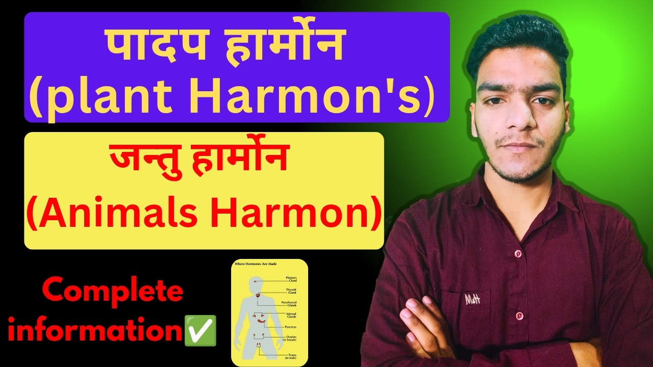 Plant Cell and Animal Cell | Difference Between Plant Cell & Animal Cell | Class 9–12 Biology