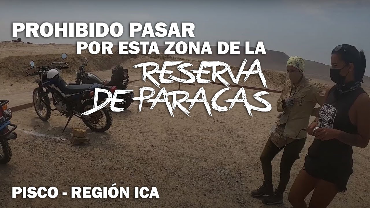 Circuito Turistico de la Reserva Nacional de Paracas | Programa de Voluntariado de Guardaparque