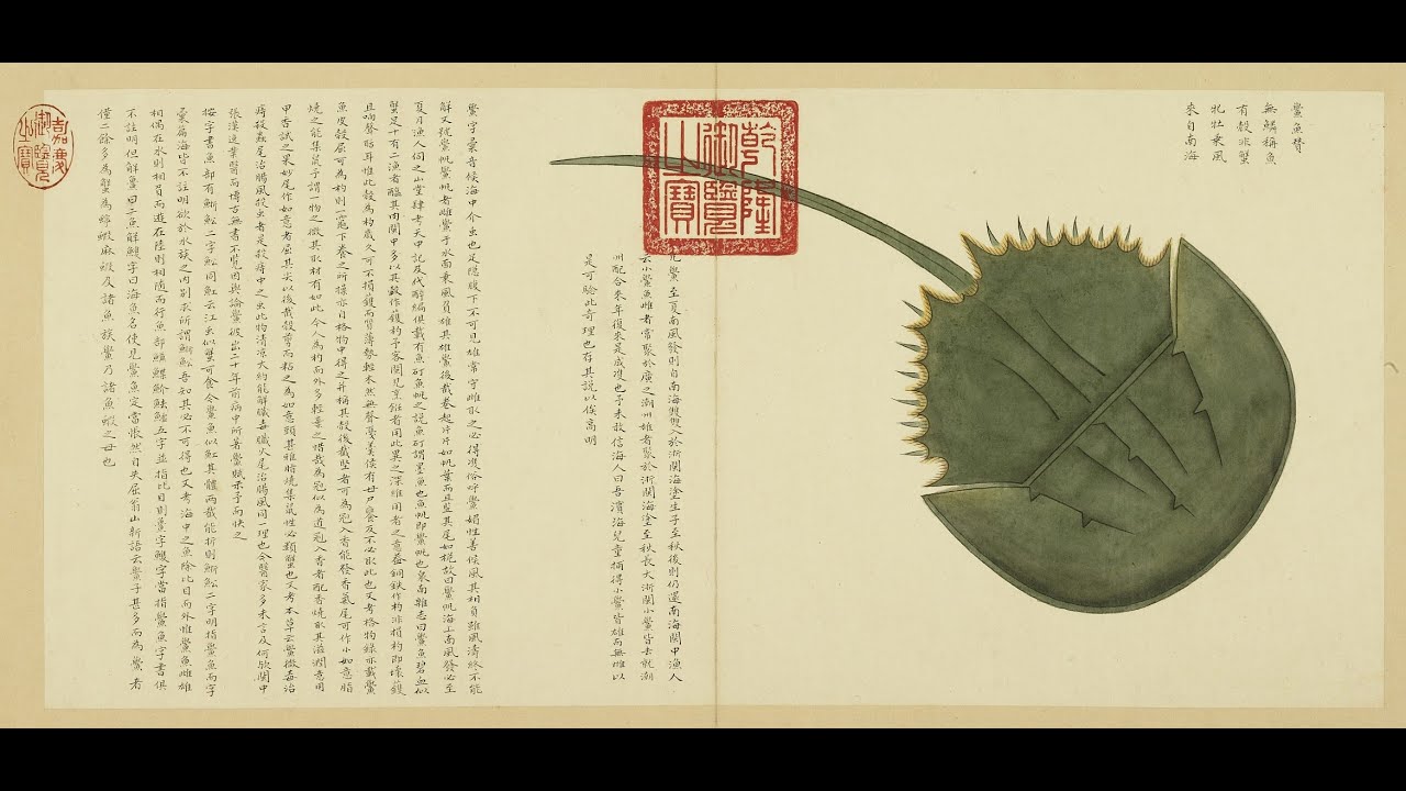 Hai Cuo Tu – Illustrations of Sea Oddities – Creatures of the Ancient Seas – Volume 4