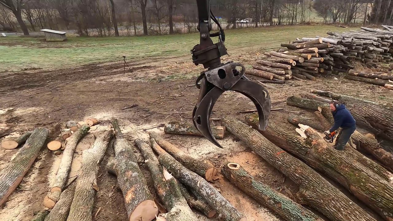 Bucking Logs and Splitting Firewood