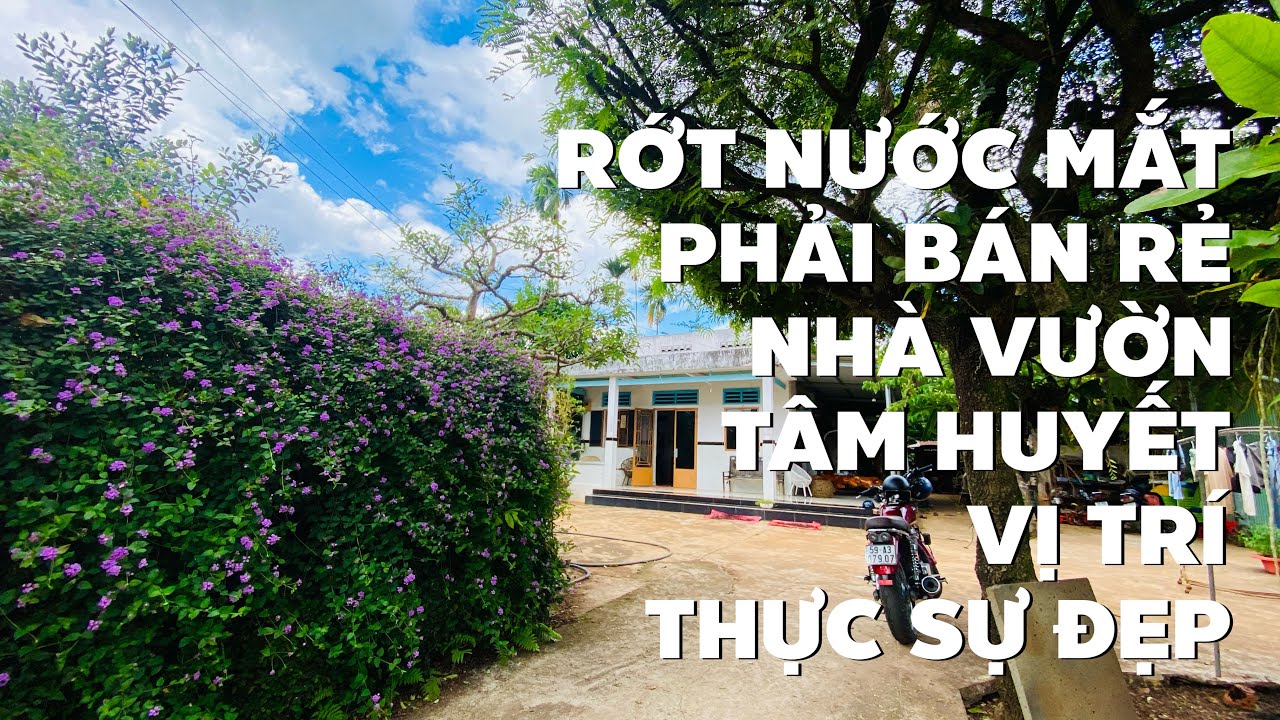 Hết khả năng trả nợ phải cắn răng bán nhà vườn đẹp ở BR-VT mặt tiền đường lớn (ĐÃ BÁN)