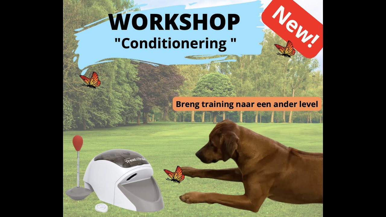 Intro conditionering een nieuwe workshop in 2022