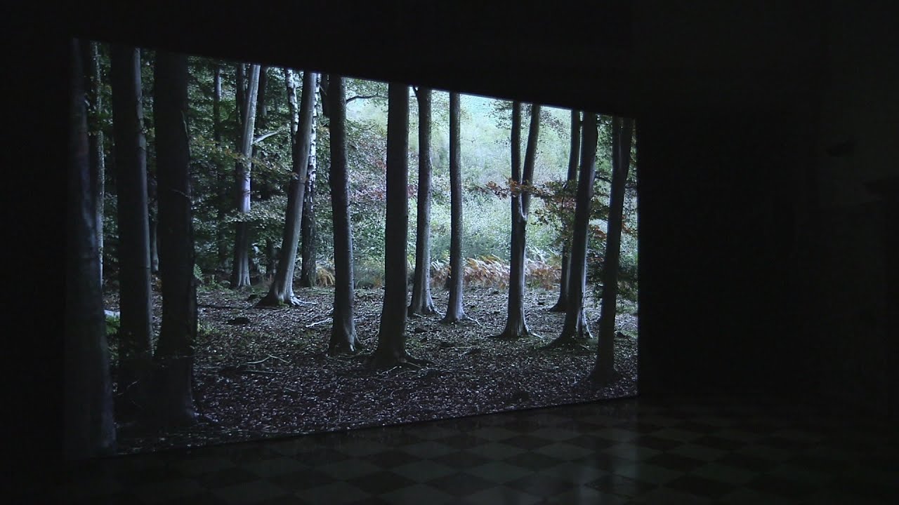 Helen Sear's ...the rest is smoke: UK at the Venice Biennale 2015