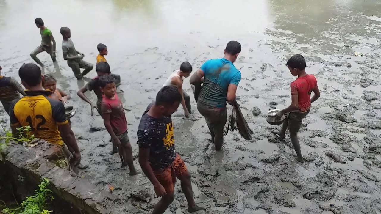 Group Net Fishing In Bangladesh. Amazing Village Net Fishing