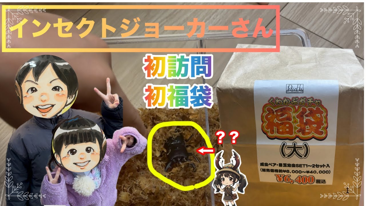 初訪問、初カブクワ福袋開封☺️虫ピンボールも！