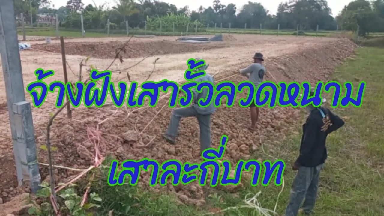 จ้างฝังเสารั้วลวดหนาม​ บนพื้นที่2งาน