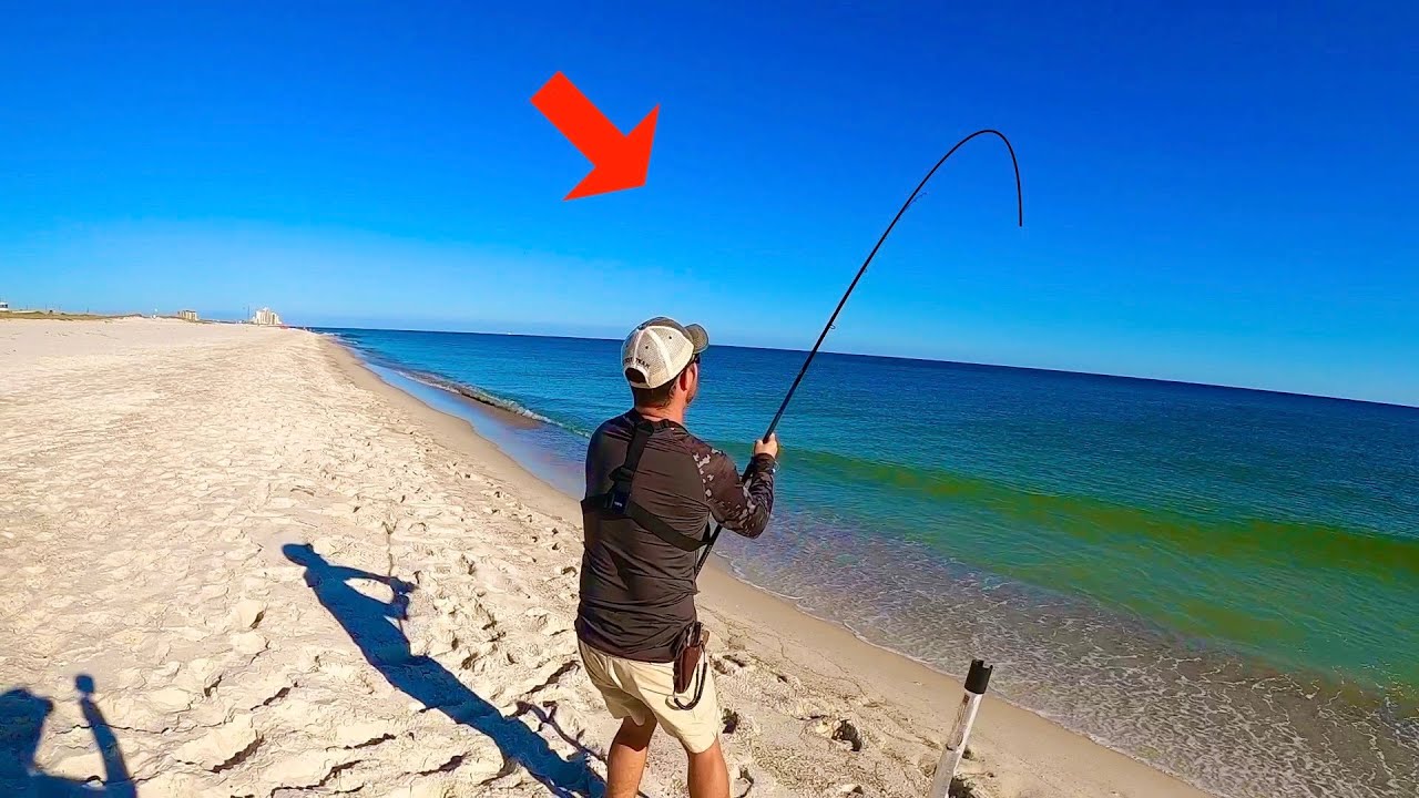 THIS Is What You WANT To Happen When Surf Fishing in the Fall **MULTIPLE SPECIES**