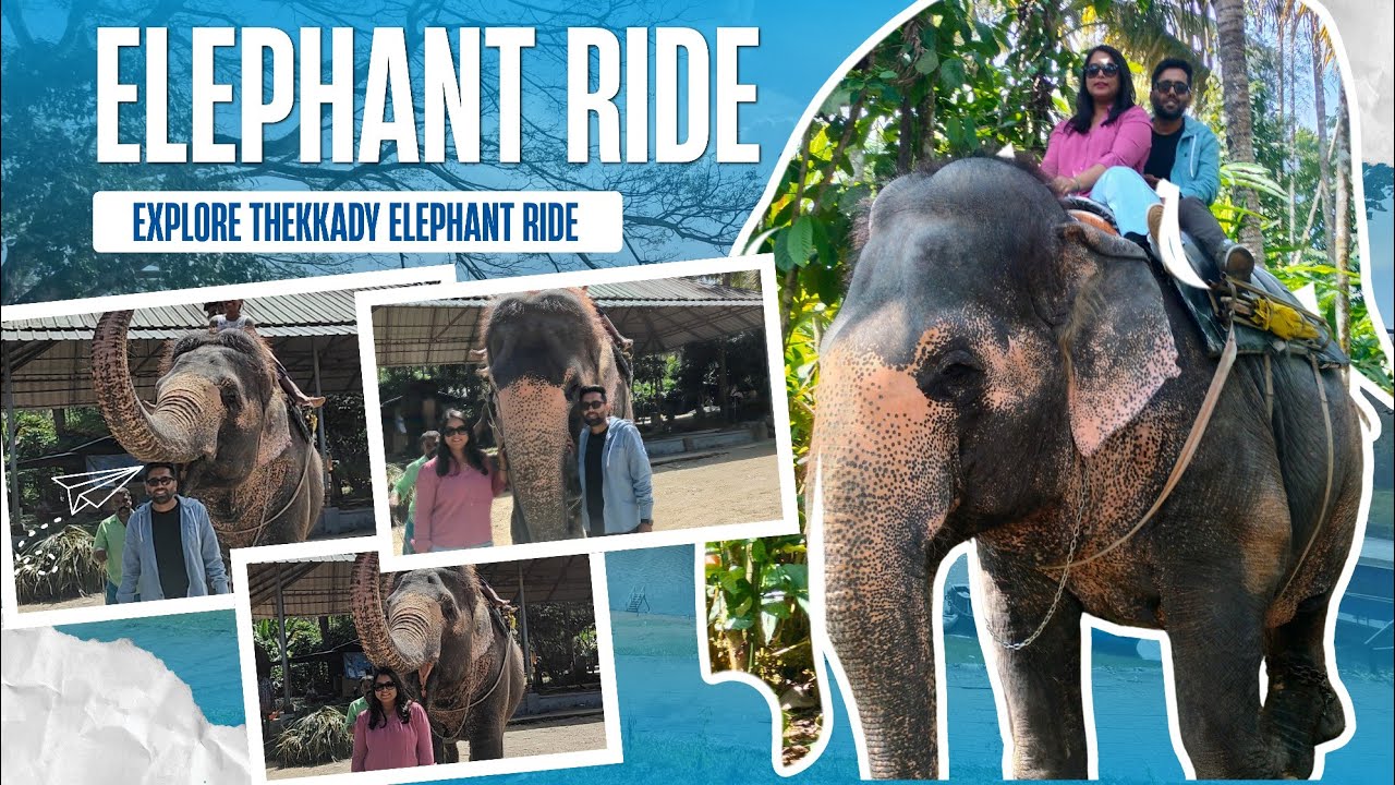 Elephant Ride Thekkady Kerala with Periyar Tiger Reserve Tour