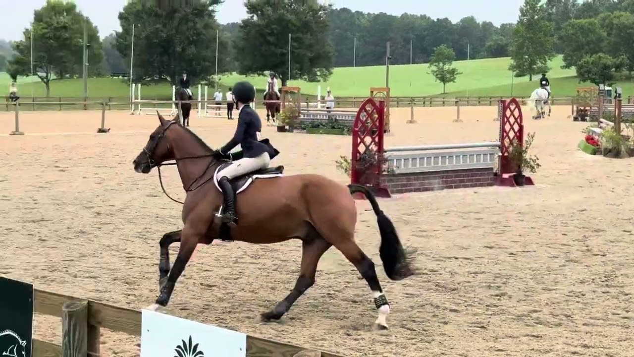 NCEA Medal - Score of 84 - 1st Place