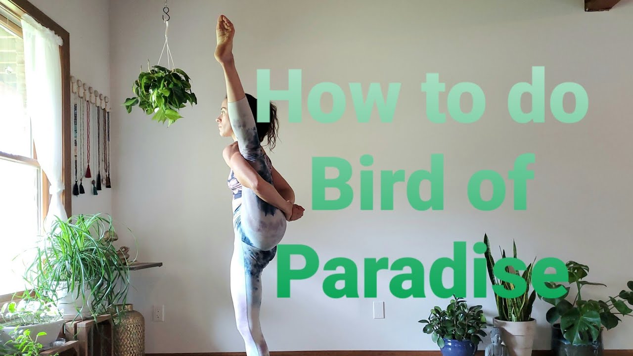 How to do Bird of Paradise Pose in Yoga