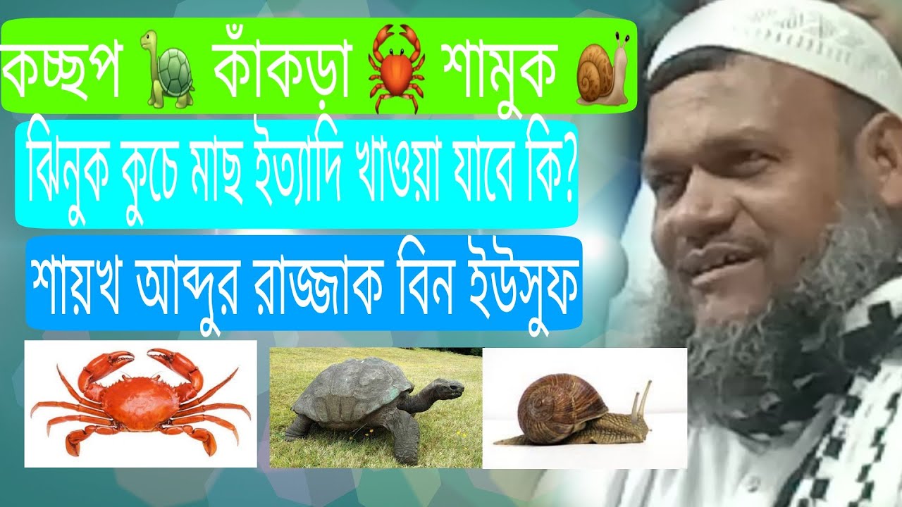 কচ্ছপ, কাঁকড়া, শামুক, ঝিনুক, এবং সান্ডা ইত্যাদি খাওয়া যাবে কি? 🐢 🦀 🐌,Shaykh Abdur Razzak bin Yusuf