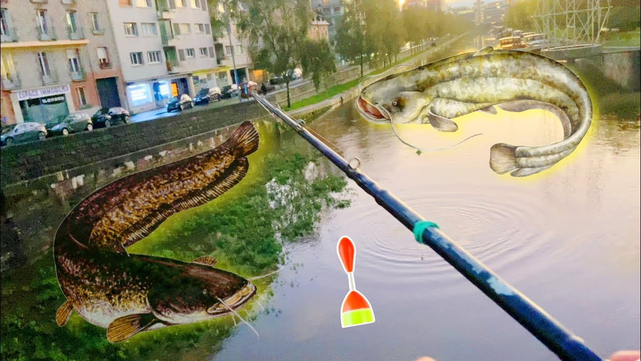 2 jours ENTIERS de pêche au vif qui finissent en beauté ! Pêche au vif #41