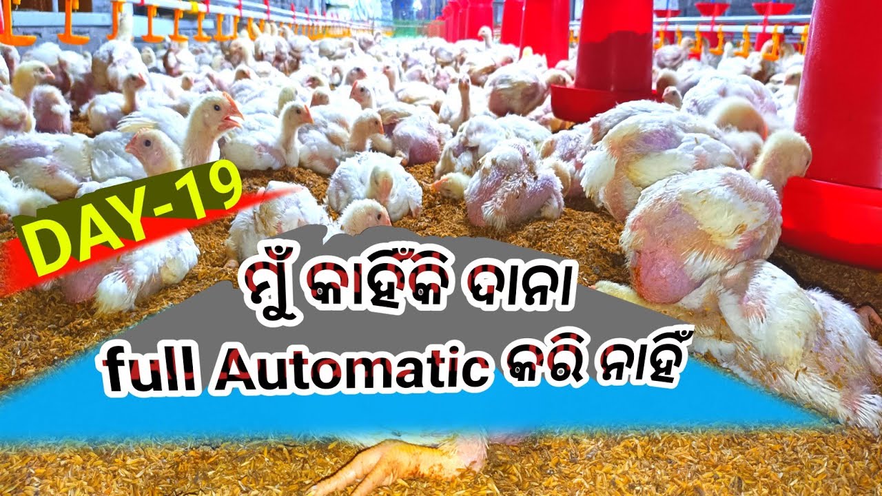Why didn't I make my EC farm fully automatic?