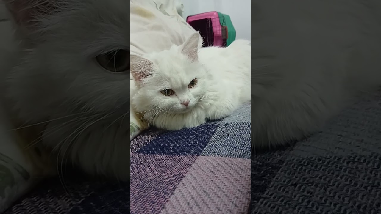 قمر خوفتني أوي منها 😟😟😟
