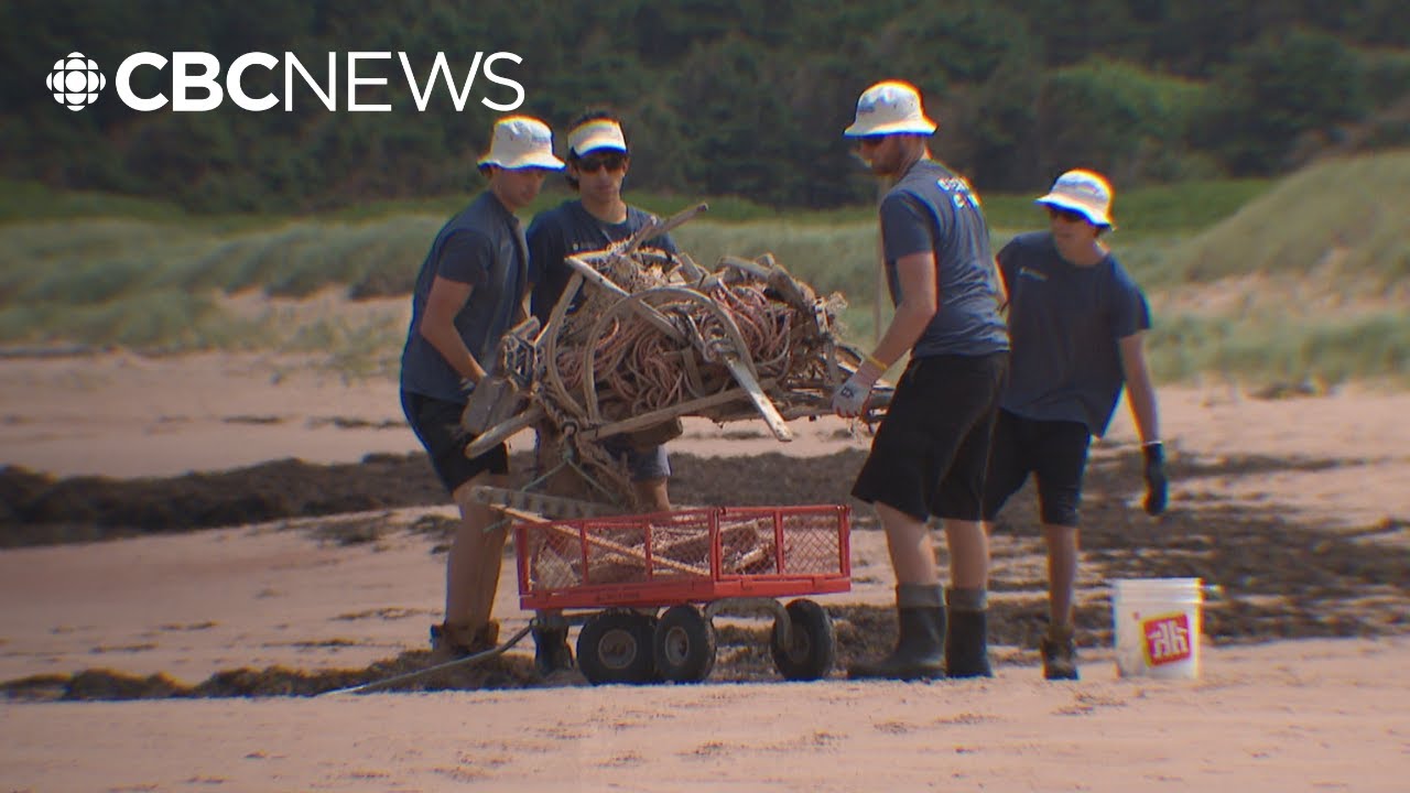This team cleans P.E.I.'s beaches all summer. Now they want Islanders to pitch in